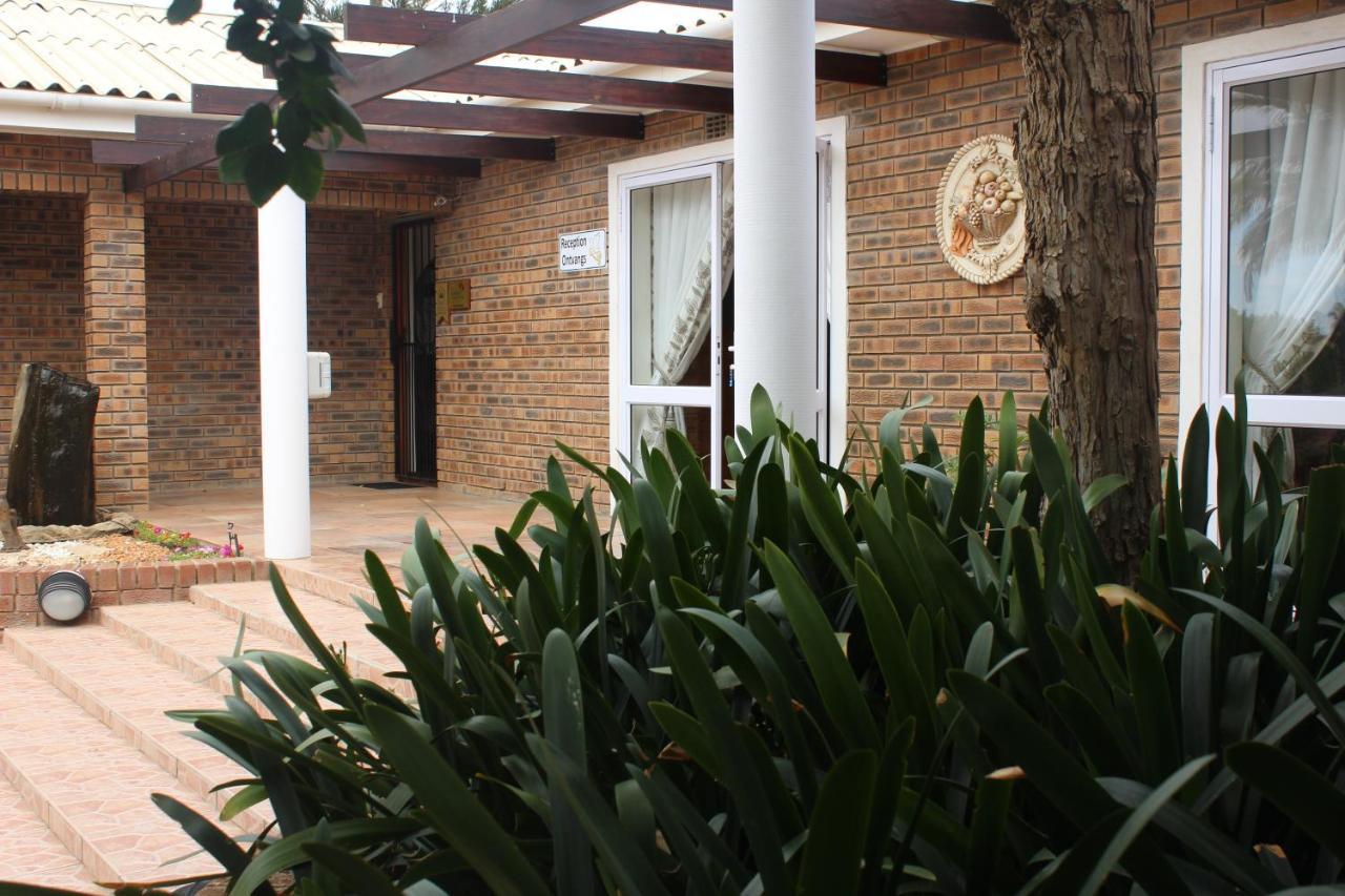 The Golden Grape B&B Lutzville 外观 照片